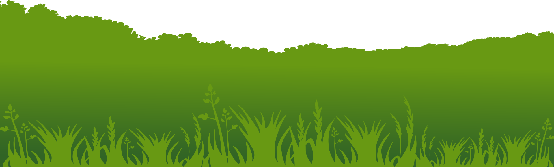 Floor Grass